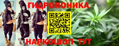 a pvp Гагарин